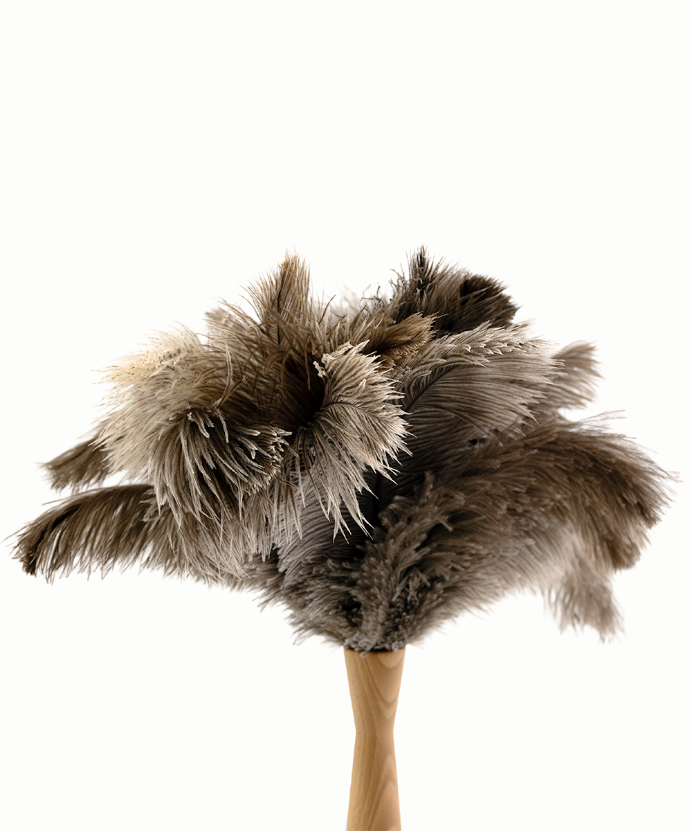 Natural by Hillbrush Ostrich Feather Duster